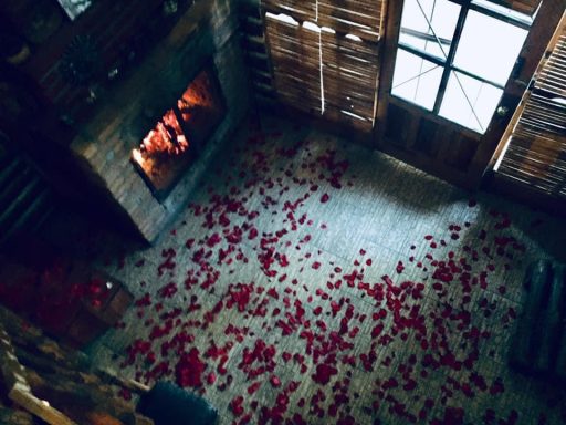 Habitación de madera con un chimenea encendida y pétalos de rosa en el suelo.