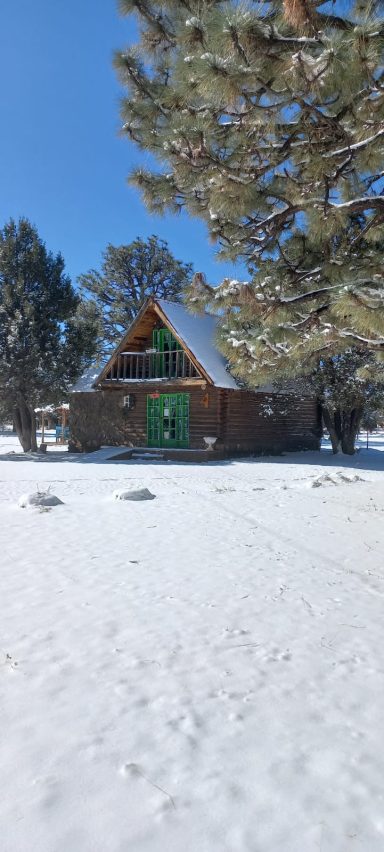 Cabaña de madera con techo a dos aguas rodeada de nieve y árboles.