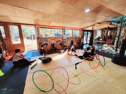 Niños jugando en un salón con aros, colchonetas y equipo de ejercicio.