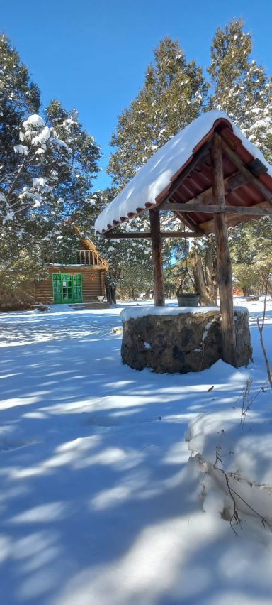 Pozo de piedra cubierto de nieve con un techo de madera en un paisaje forestal.